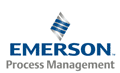 �������� � ����-����������� Emerson �� ��������� PlantWeb � Wireless � ������� ������,- �������� ��������